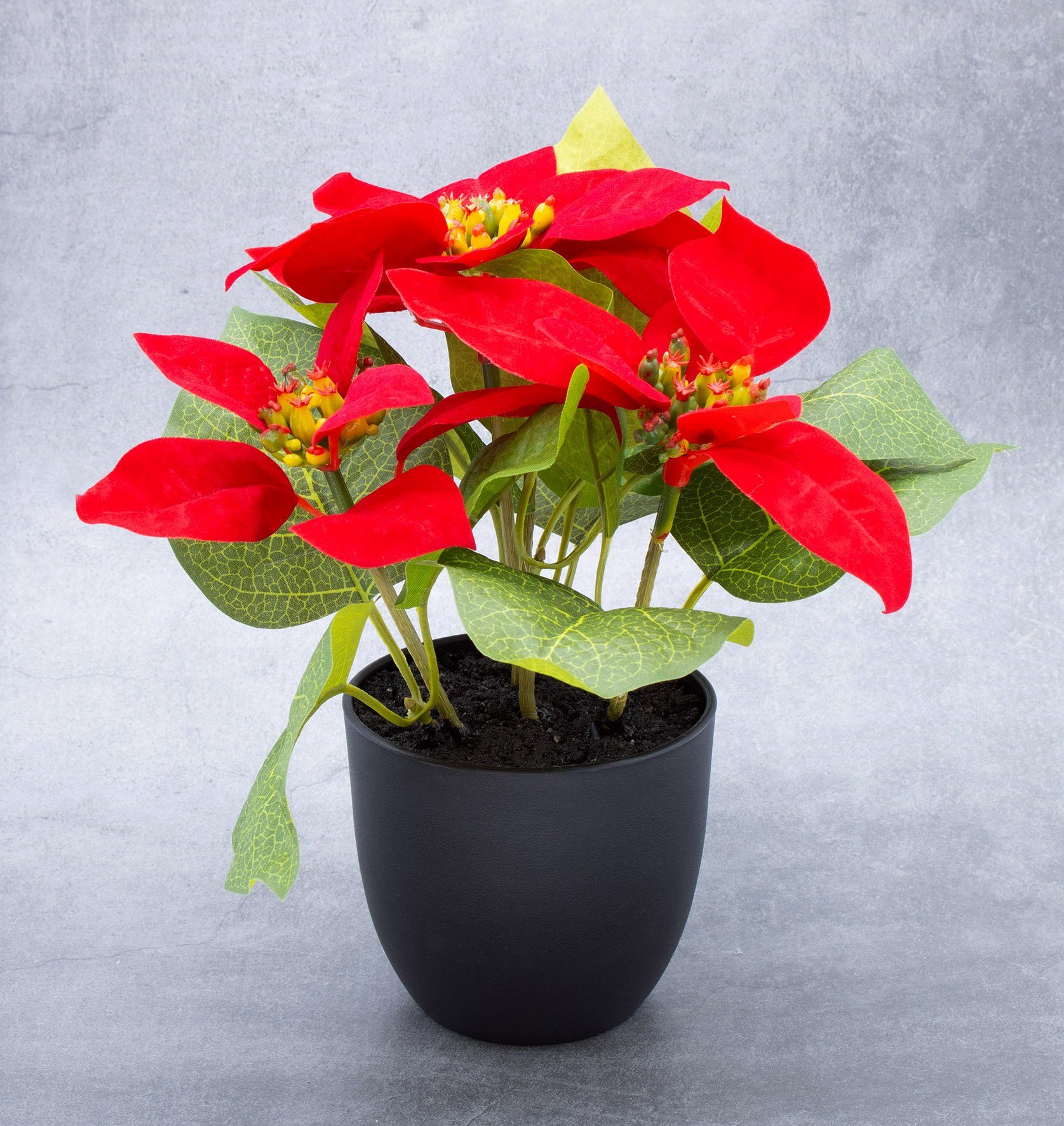 Winterliche Kunstpflanze Künstlicher Weihnachtsstern im Blumentopf klein Poinsettia, Spetebo, Höhe 22 cm, Poinsettia in naturgetreuer Nachbildung