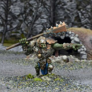 Orcs Troll Bruiser