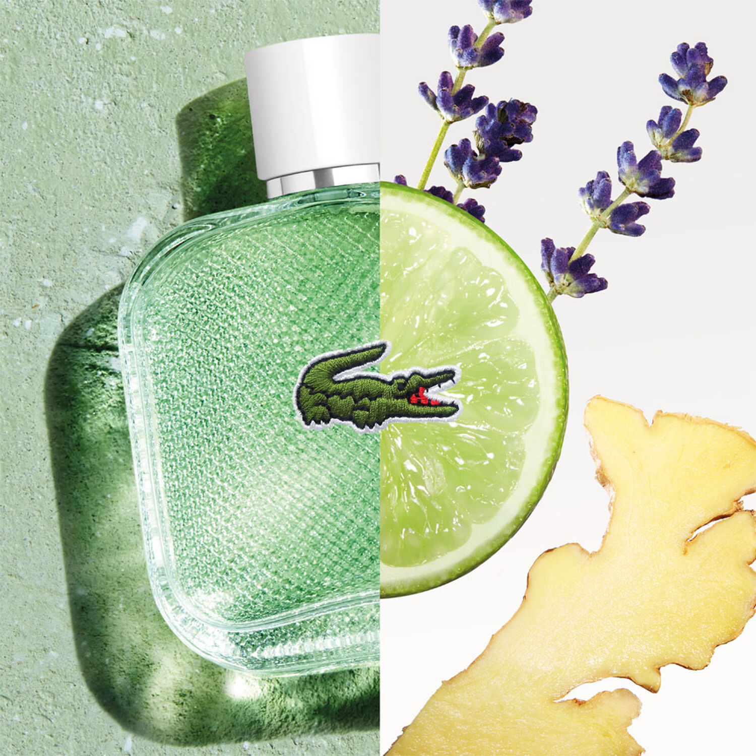 Lacoste L.12.12 Blanc Eau Fraîche Eau de Toilette