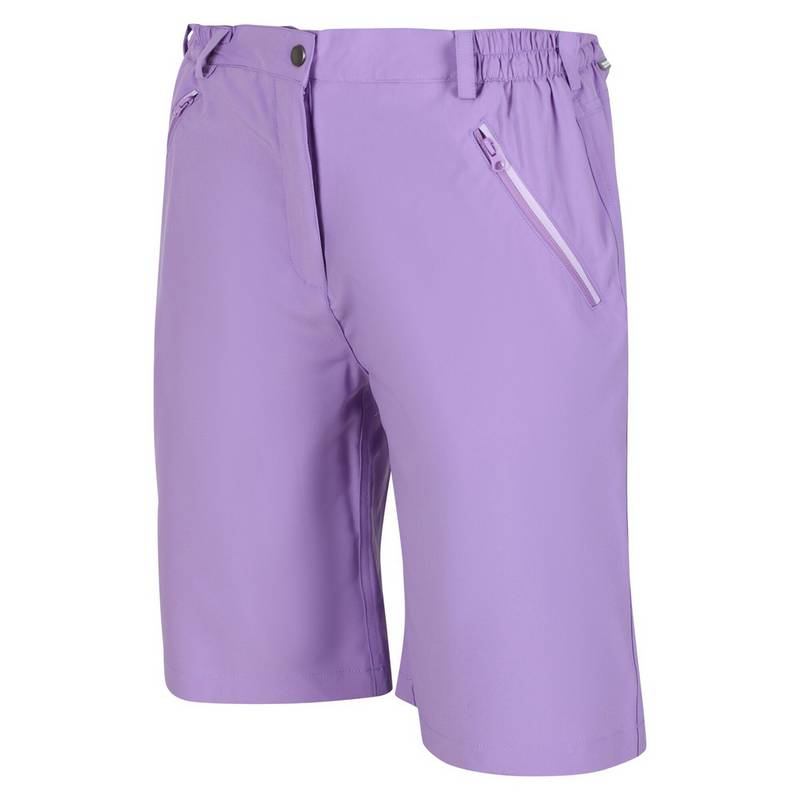 Regatta Xert It Shorts Damen