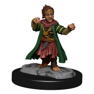 Pathfinder Deep Cuts: Halfing Monk Male (2)