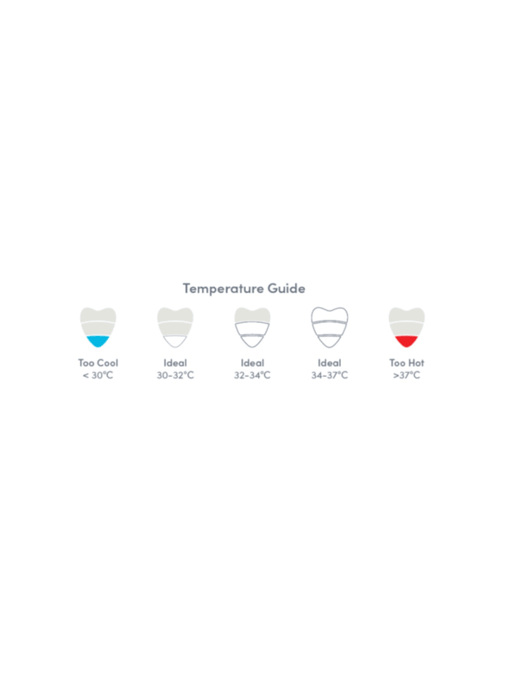 Shnuggle Badethermometer Kieselstein günstig kaufen onesize