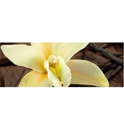 Sebastian Cellophanes Vanilla Blond 300 ml