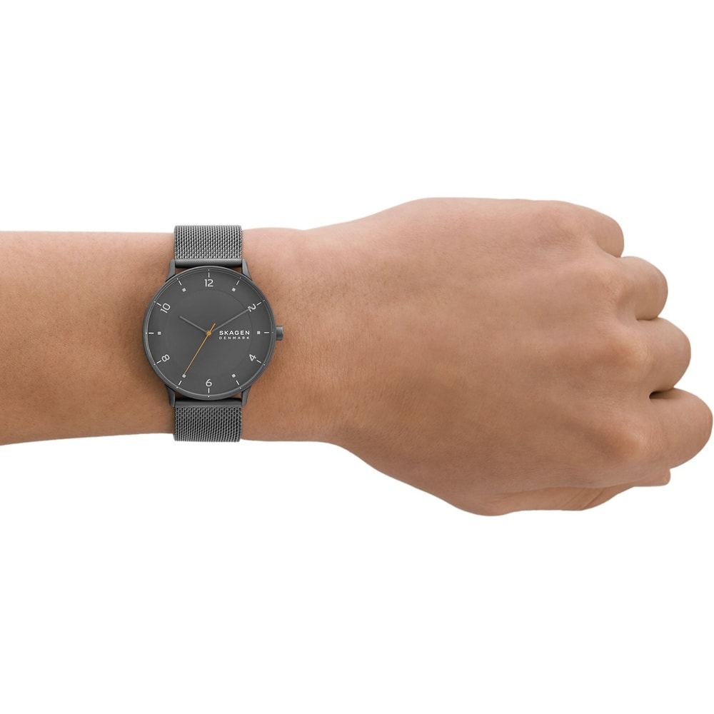 Skagen Montre pour hommes Montre