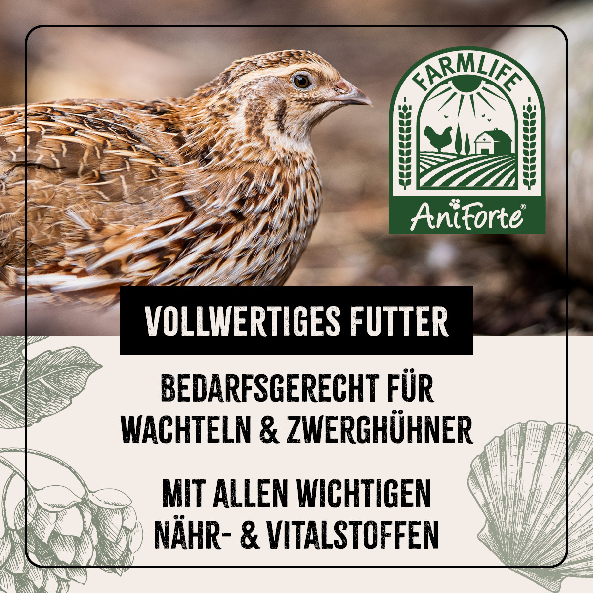 Aniforte Futter & Heu Aniforte FarmLife Wachtel Futter Müsli 10 kg