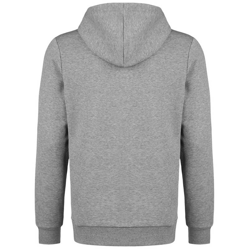 PUMA TeamGoal 23 Casuals Hoodie Herren