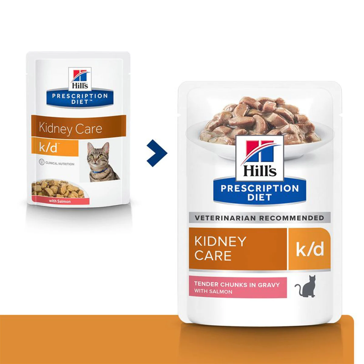 Hill's Prescription Diet k/d mit Lachs 12x85g kaufen