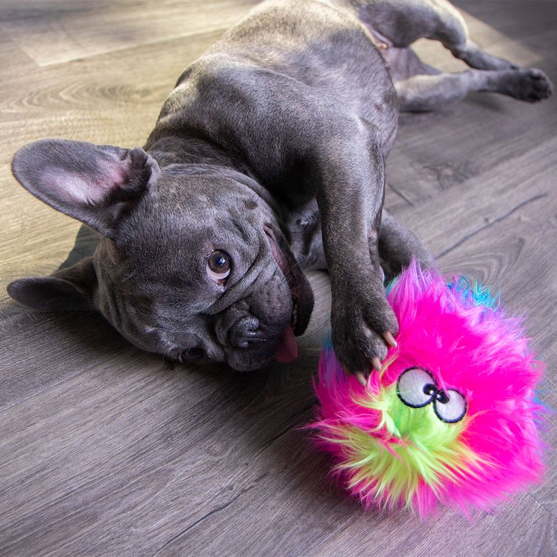 goDog Hundespielzeug Furballz Regenbogen zu TOP-Preisen