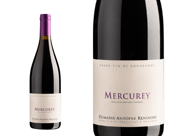 Antoine Reniaume Mercurey Rouge 2022 Bourgogne Mercurey