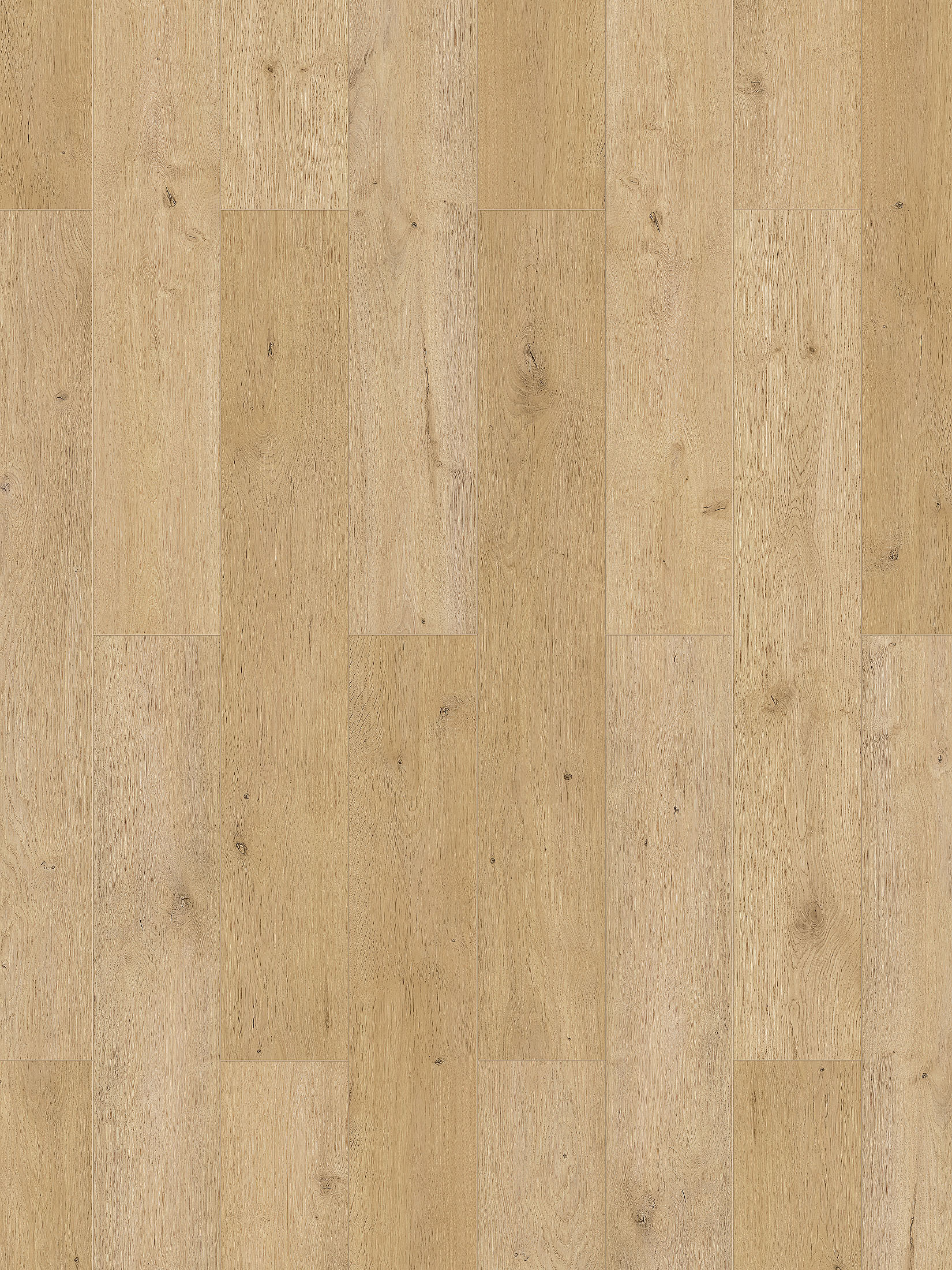 Natura Klick-Laminat, Kyoto Oak 65442