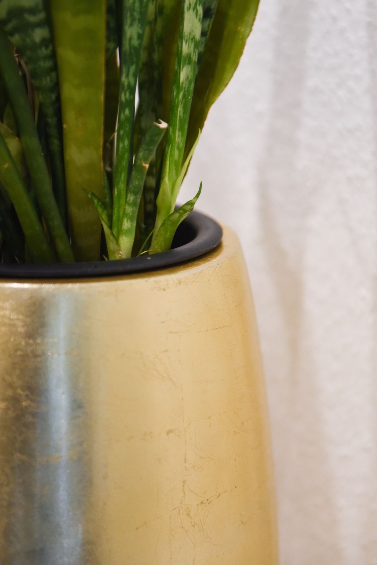VIVANNO Pflanzkübel Exklusiver Pflanzkübel Fiberglas 
