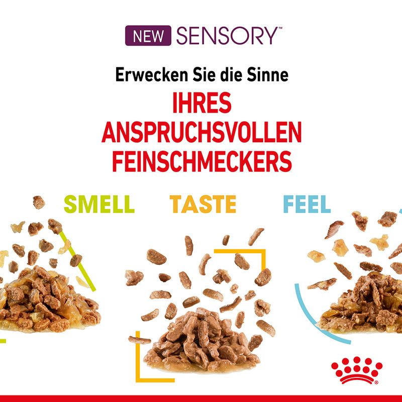 Royal Canin Sensory Feel in Soße zu TOP-Preisen