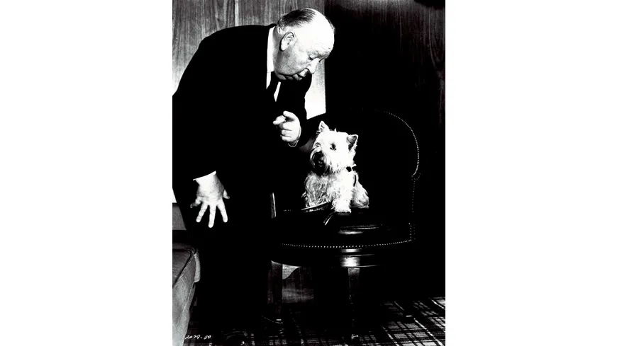 Alfred Hitchcock Collection - Das Fenster zum Hof  (+ Blu-ray 2D)