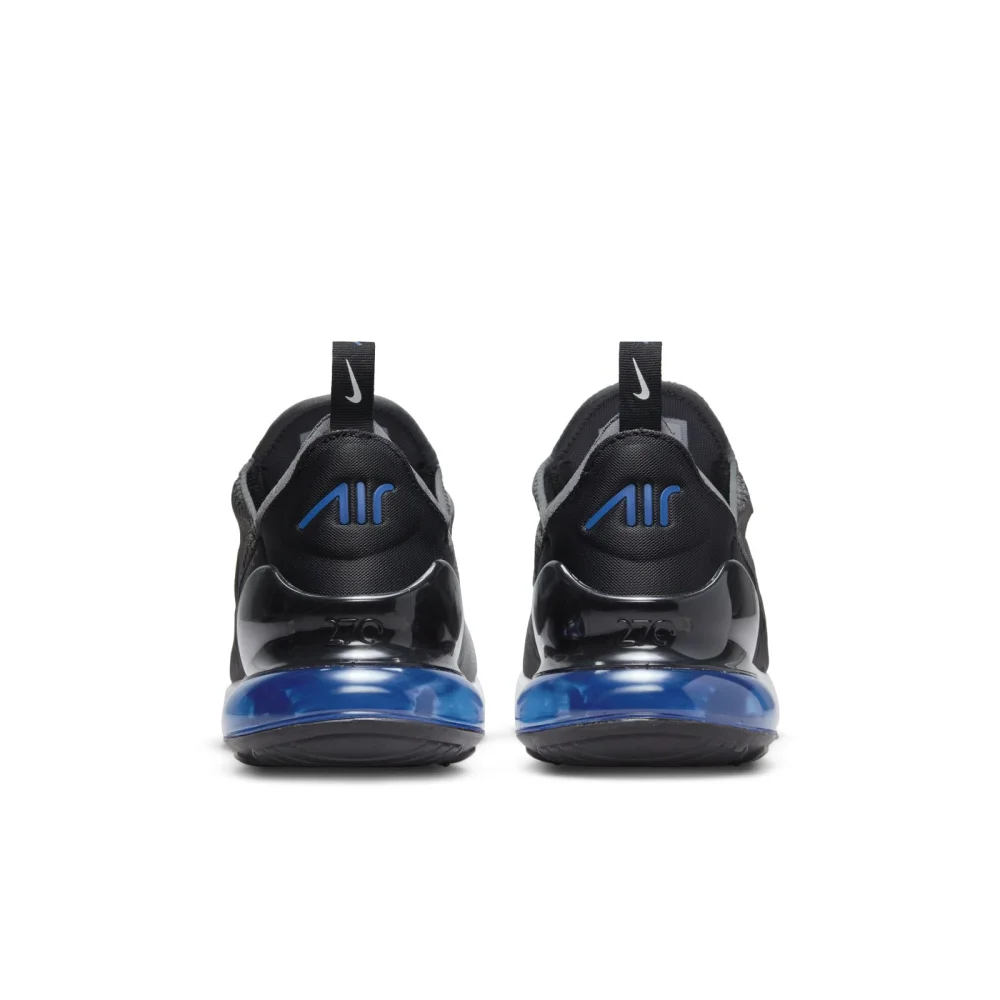 Nike Air Max 270 DV6494-001 / grau