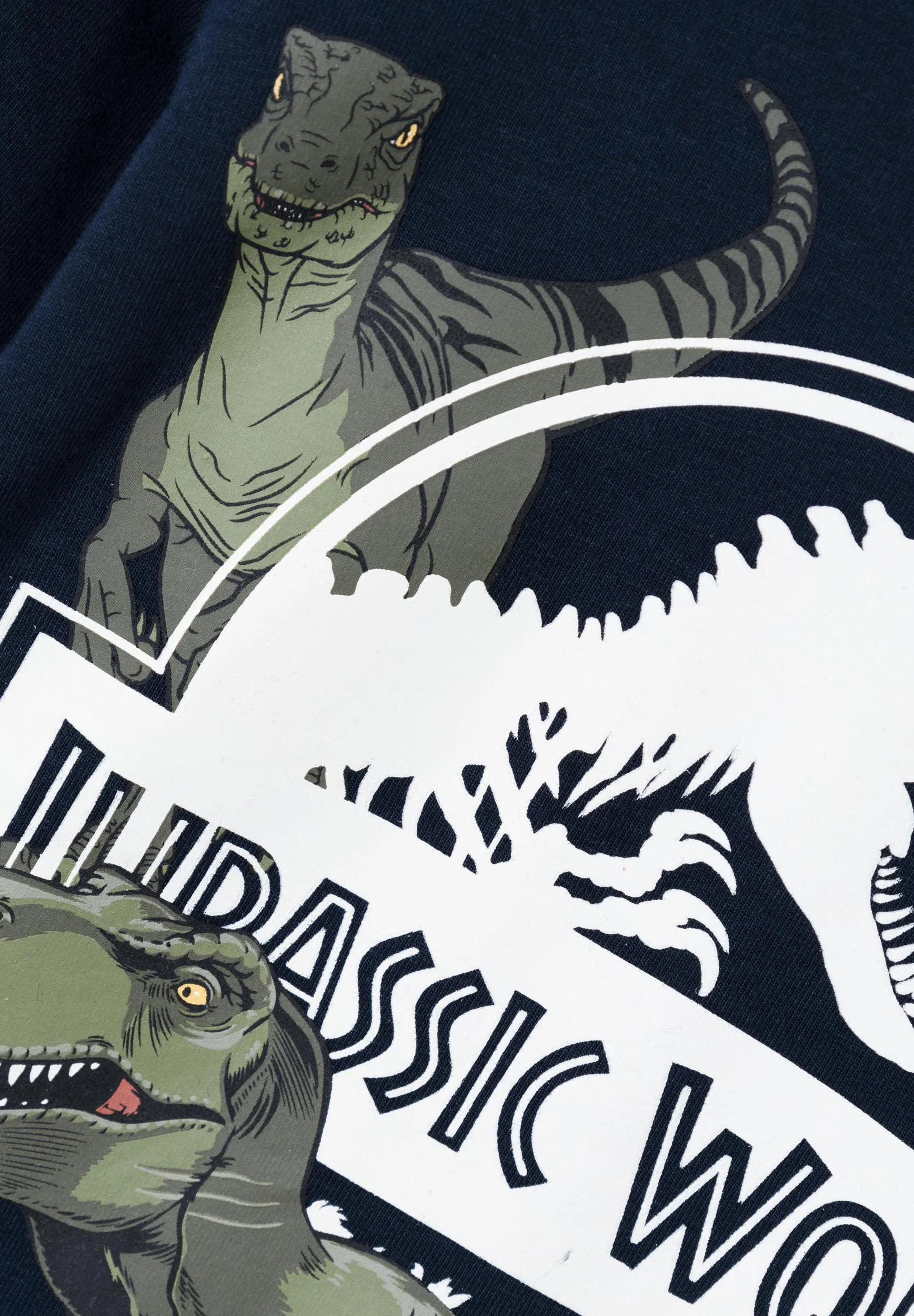 Nómbralo NMMNIJAL JURASSIC - Camiseta de manga larga