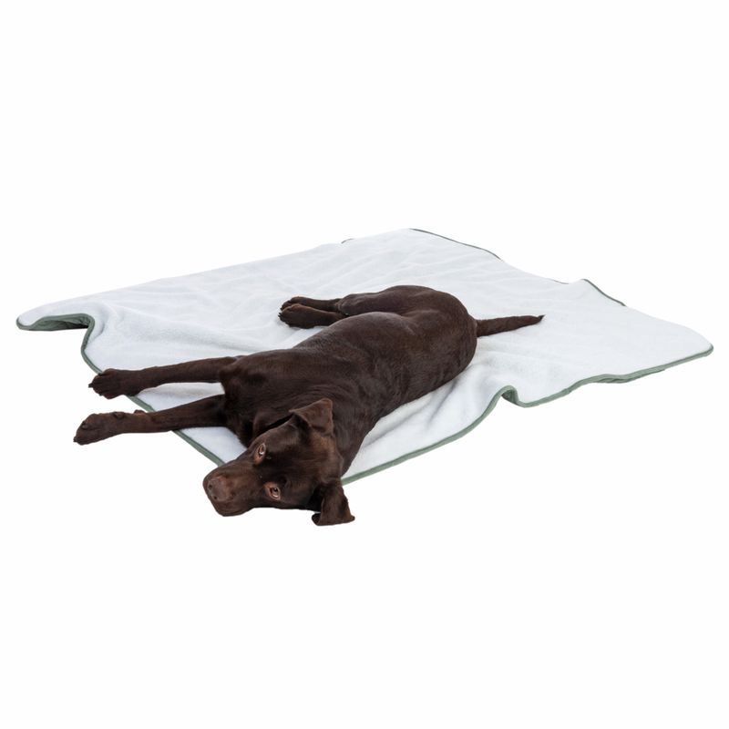 Modern Living Hundedecke Victoria zu TOP-Preisen