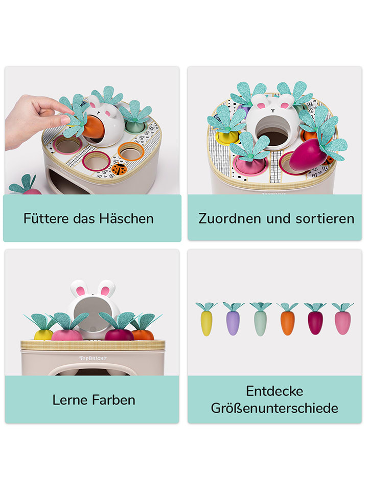 TOPBRIGHT Sortierspiel 