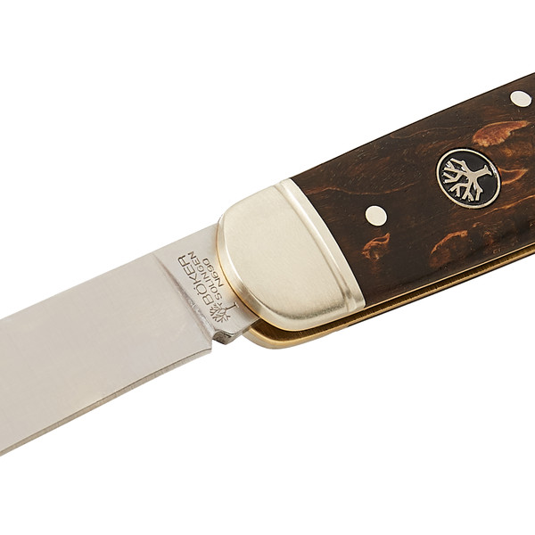 CATTLE KNIFE MASERBIRKE - Klappmesser