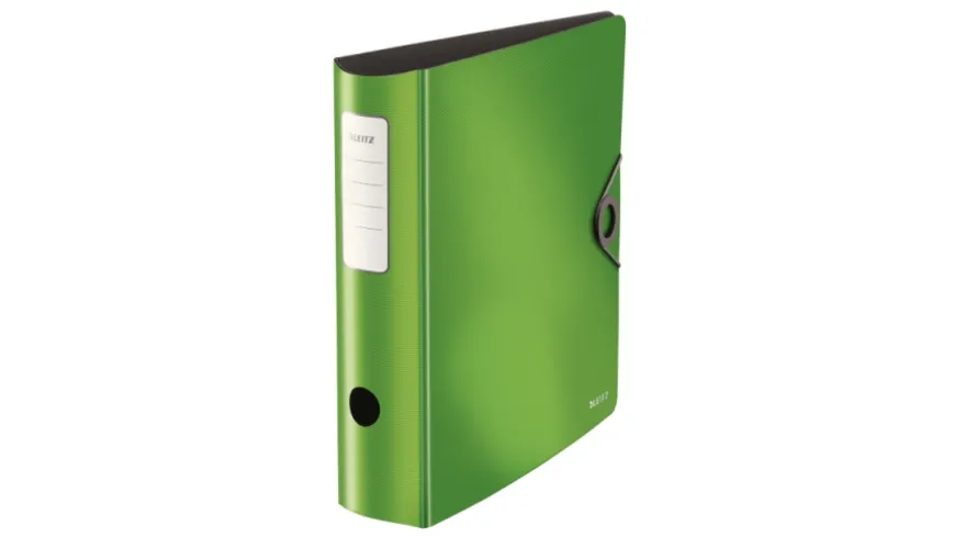 LEITZ Ordner Active Solid A4 grün, breit grün