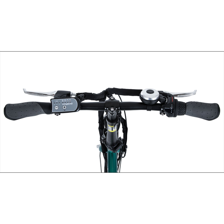 Wayscral E-Bike Flexi 215, 20 Zoll Pedelec, elektrisch unterstütztes Klappfahrrad in Grün, bis zu 45 km Reichweite - ATU