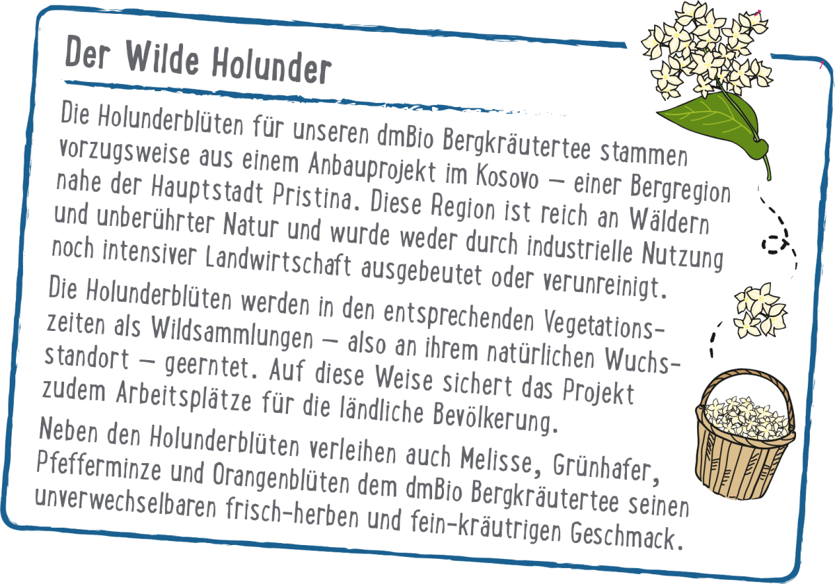 Kräutertee Bergkräuter (20 Beutel), 35 g