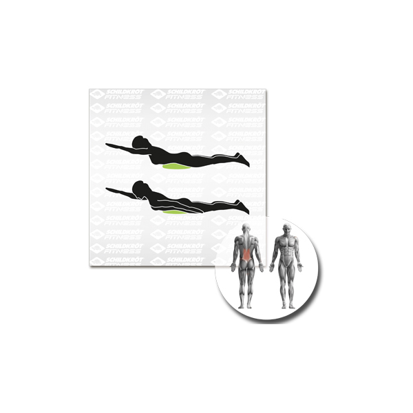 Schildkröt Fitness - Balance-Kissen Inflatable