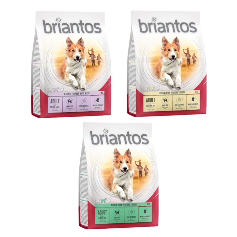Probierpaket Briantos Adult 3 x 1 kg zu TOP-Preisen