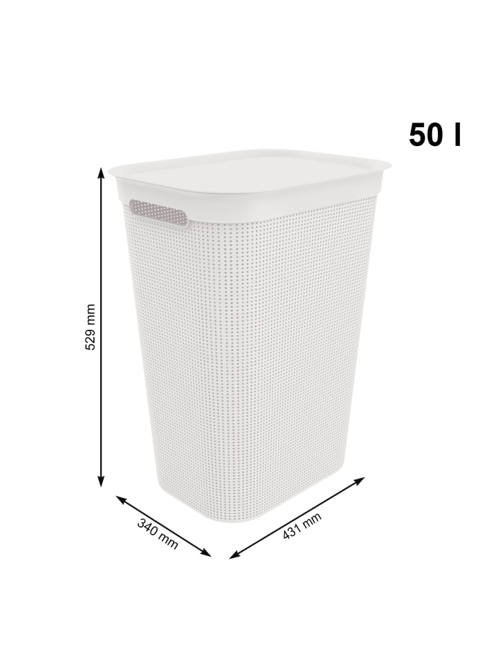 Rotho Brisen Wäschebox 50l mit Deckel und Griffe in Mistelweiß günstig kaufen onesize