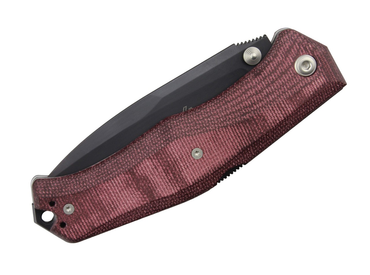 Gekko 1555