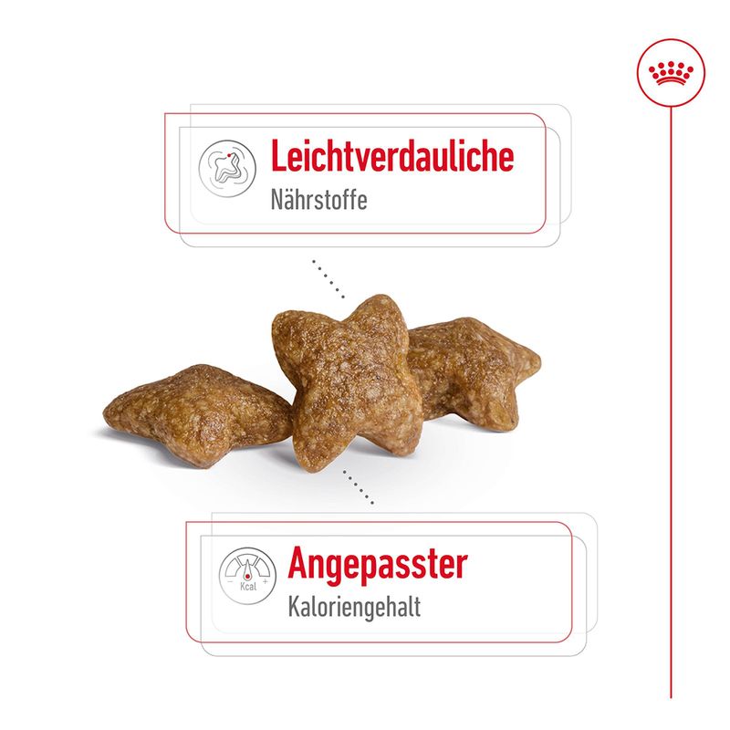 Royal Canin Mini Adult