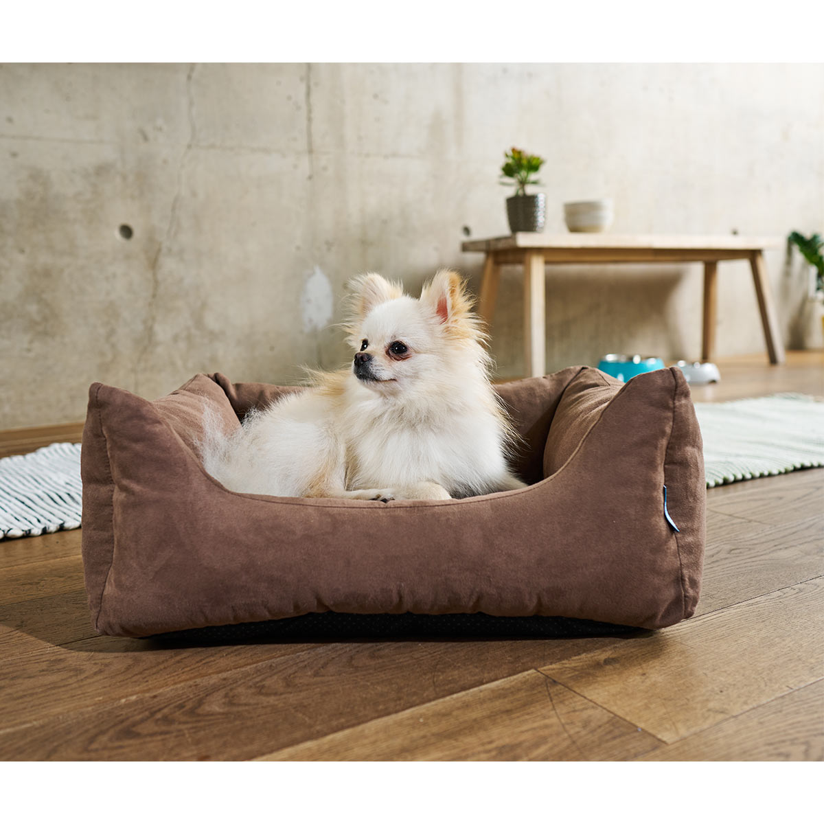ZooRoyal Hundebett Dream braun günstig kaufen