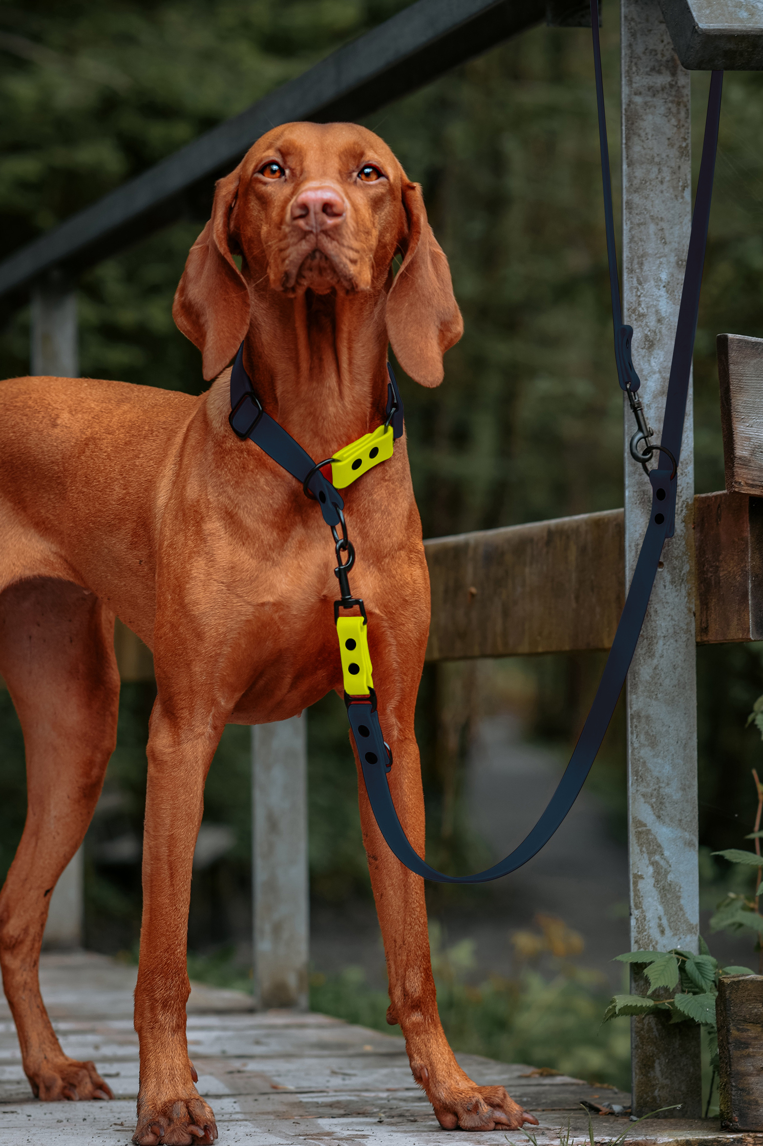 THE DOG IDEA Hundehalsbänder THE DOG IDEA Zugstopp Halsband Navy neon gelb XL