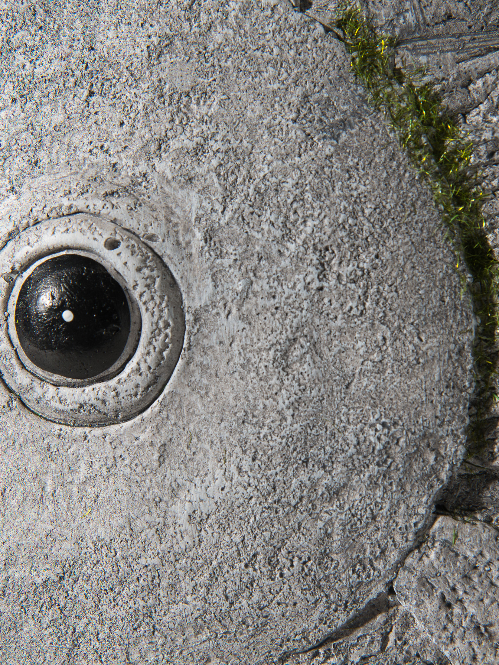 Fisch Wanda Figur, Grau