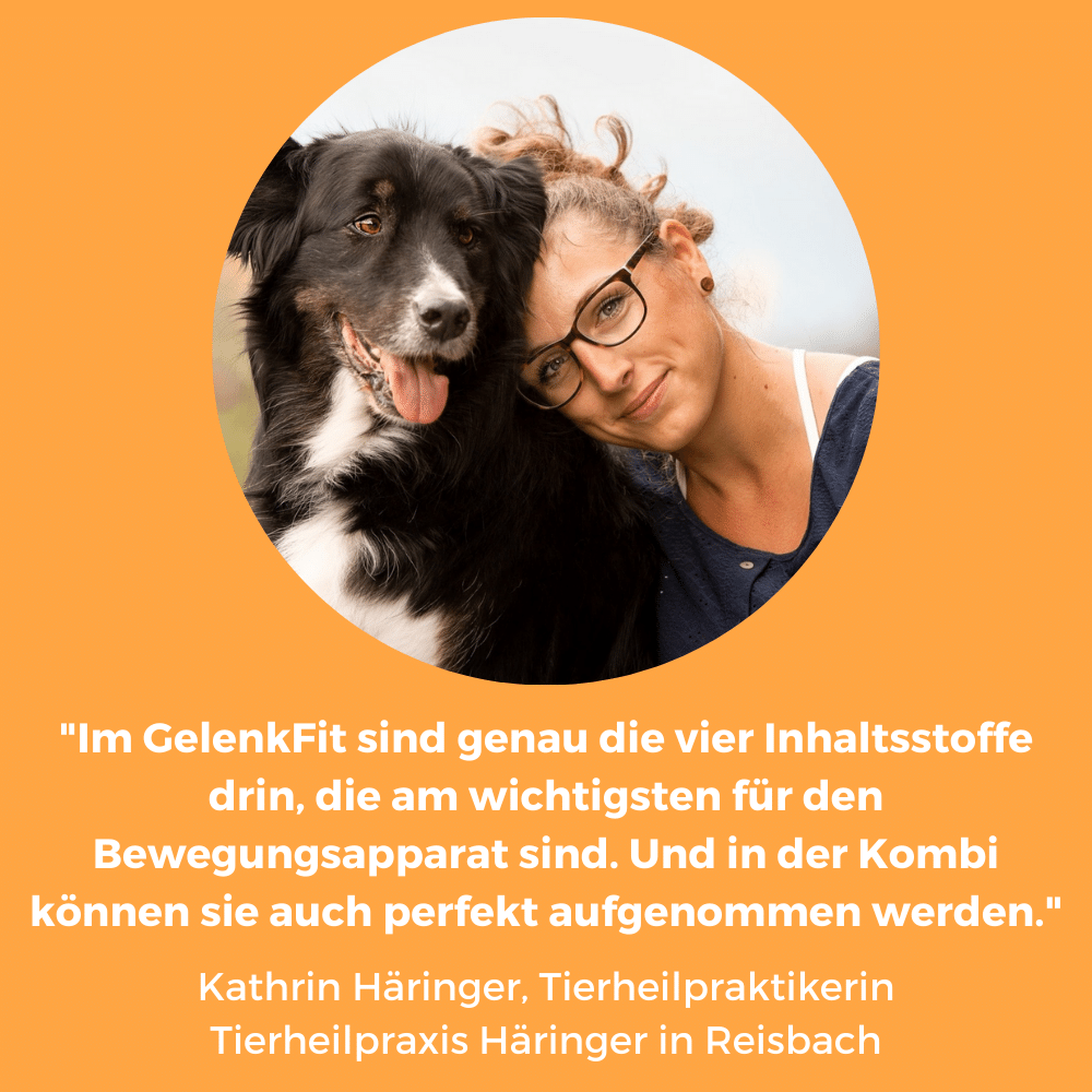 Dog-Native Ergänzungsfutter & Aufzucht Dog-Native GelenkFit Pulver für Hunde, natürliches Gelenkpulver mit Grünlippmuschel, MSM, Kollagen-Hydrolysat und Chondroitin für Gelenke, 500 g