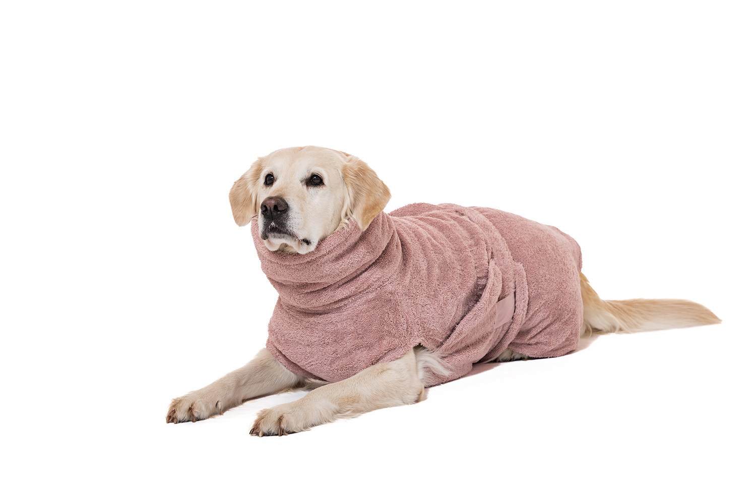 Lills Hundemäntel Lills Lill's Hundebademantel 