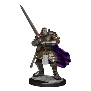 D&D Nolzur's Marvelous Miniatures: Half-Orc Paladin Male (2)