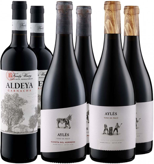Pago Aylés Kennenlern-Paket - Pago Aylés