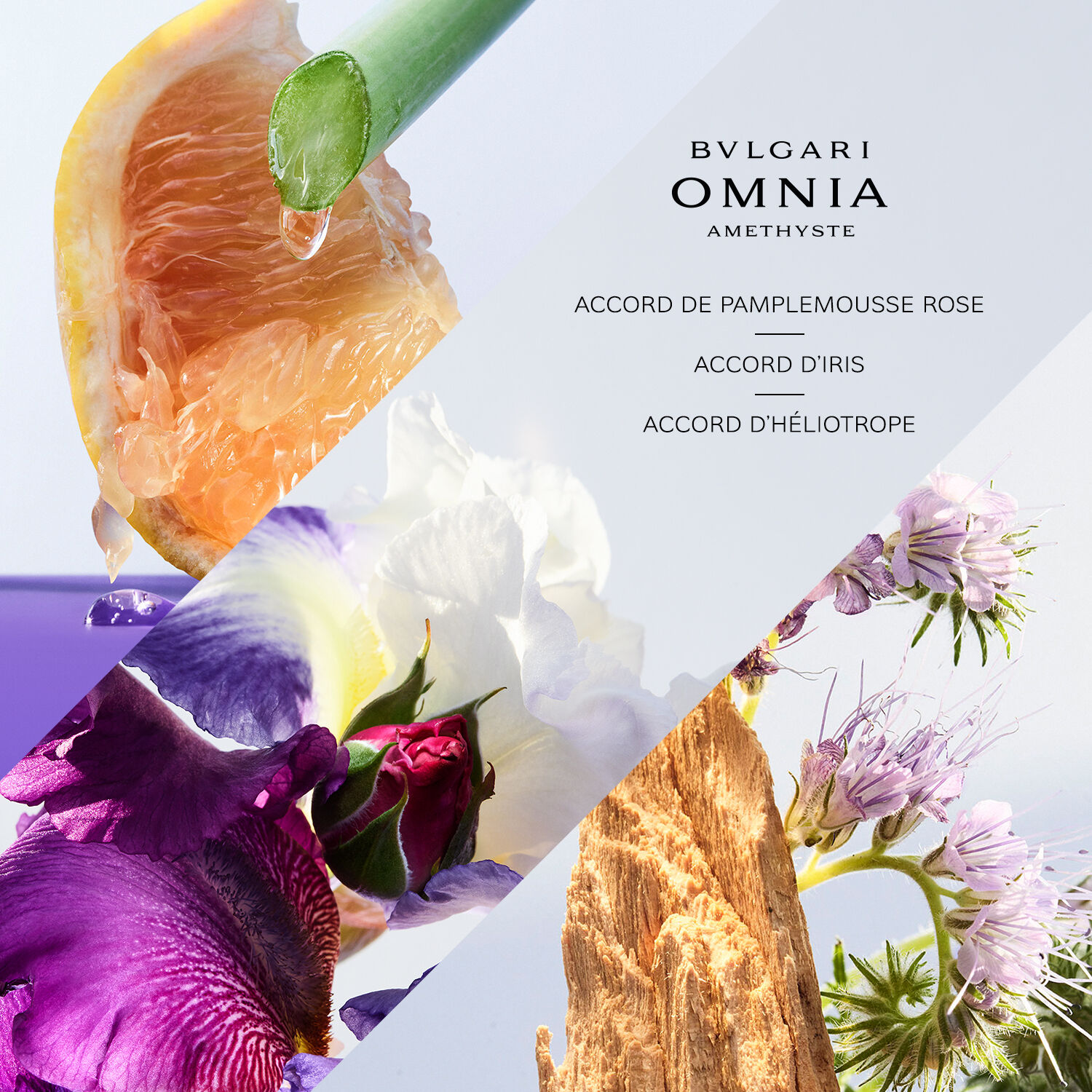 Bulgari Omnia Amethyste Eau de Toilette