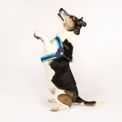 Max & Molly Q-Fit G﻿eschirr Matrix Himmelblau