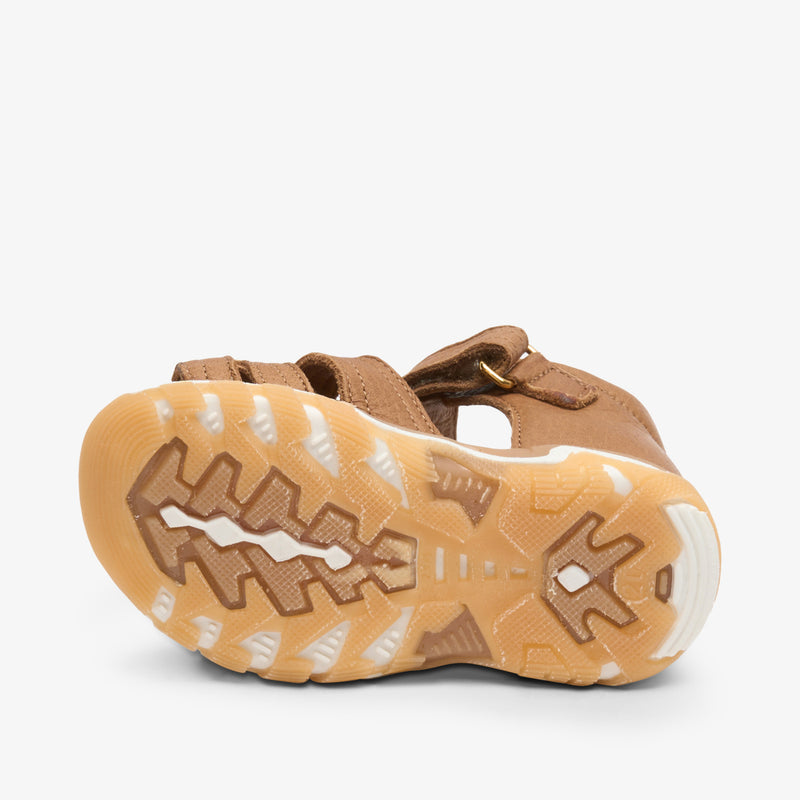 anni cognac - Braun