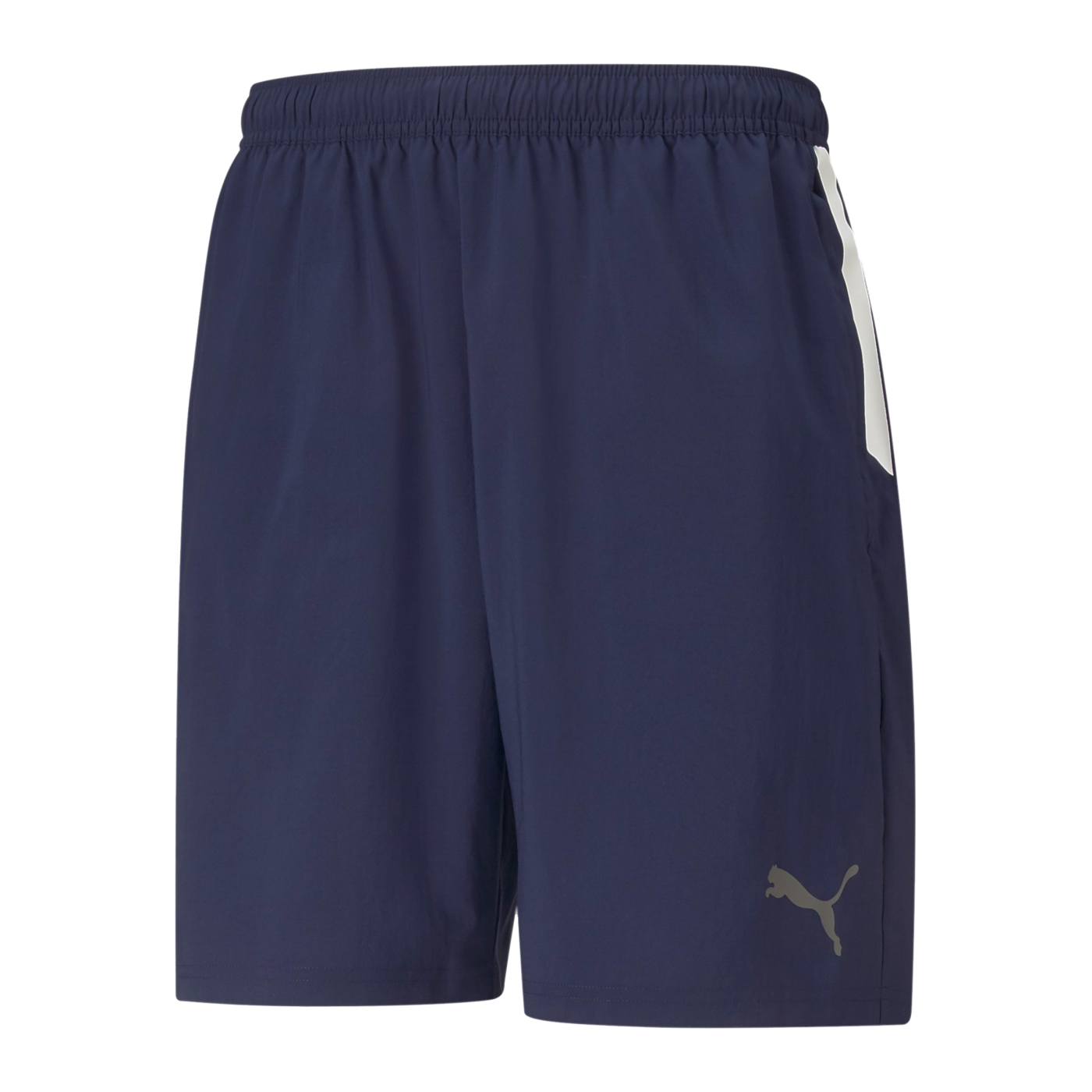PUMA teamLIGA Sideline Shorts Blau F06