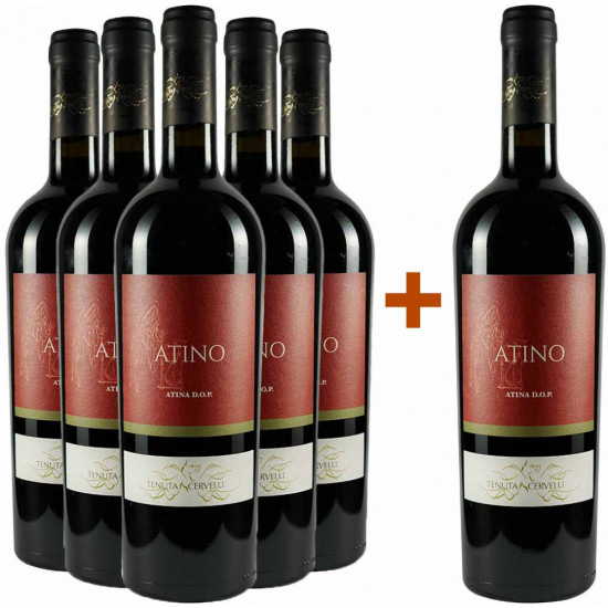 5+1 Paket Atino Cabernet di Atina DOC - Tenuta Cervelli