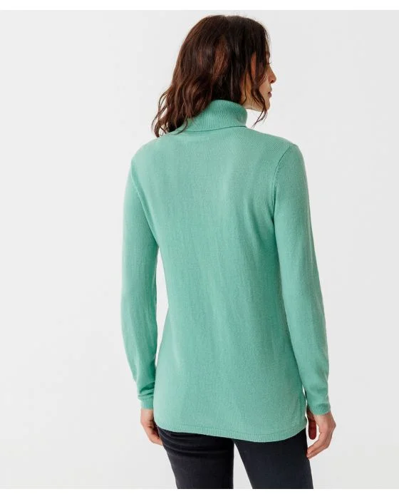 Pull col roulé en pur cachemire