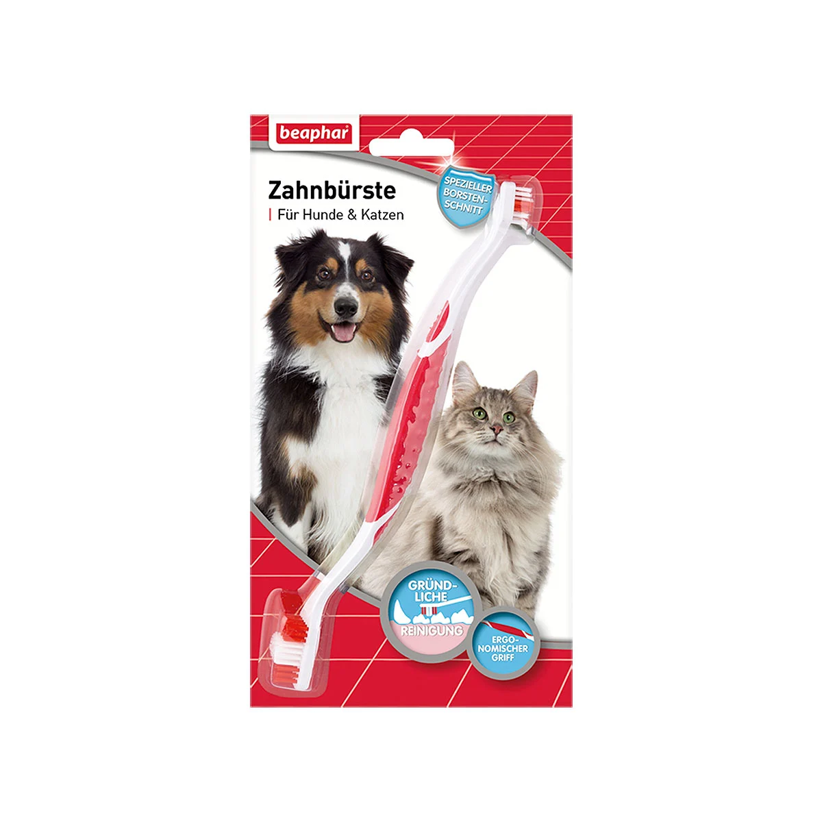 beaphar Zahnbürste für Hunde und Katzen kaufen
