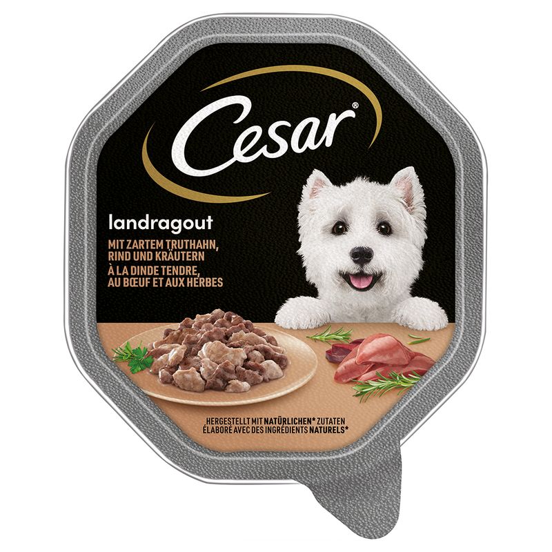 Cesar Schale 14 x 150 g