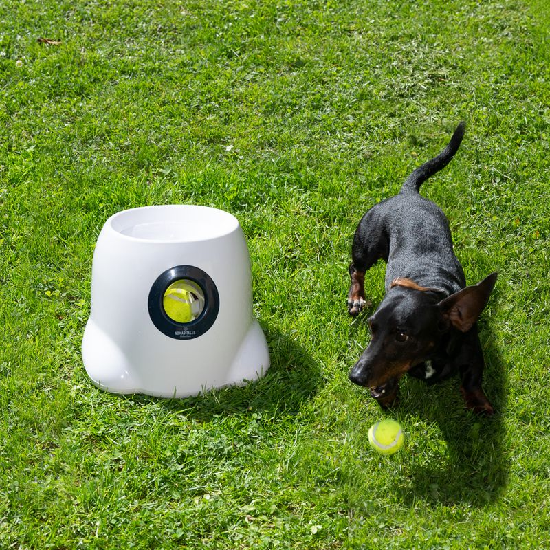 Nomad Tales Bloom automatischer Tennisball-Werfer