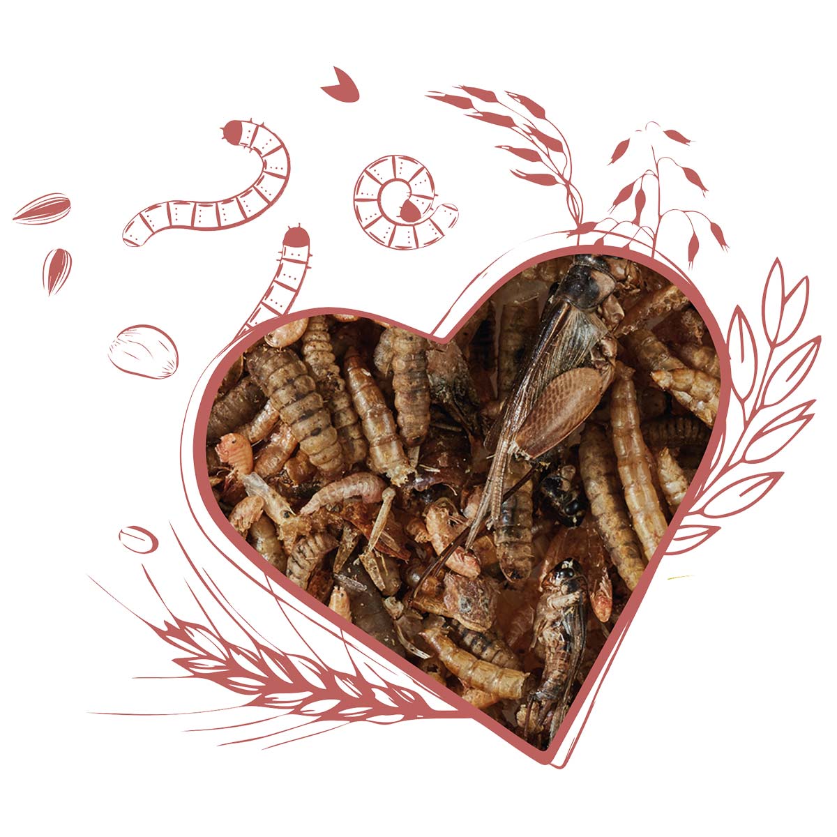 elles Insekten-Mix 125g günstig kaufen