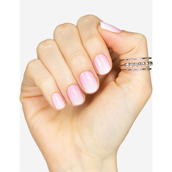 Rose Babyboomer