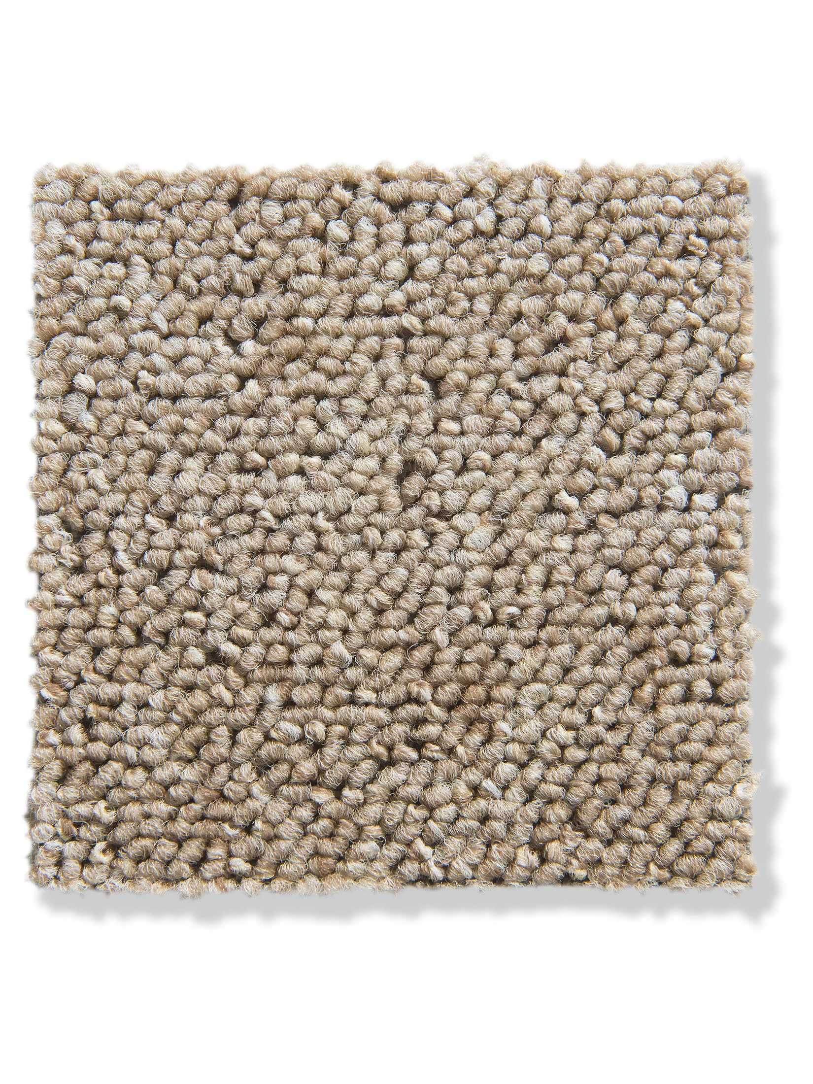 Color Schlingen-Teppichboden, Creme 13