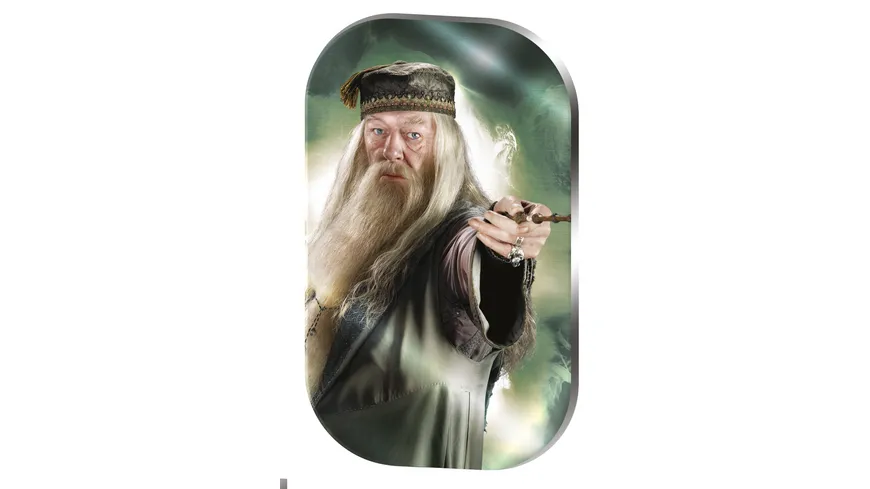 Panini - Harry Potter Metal Cards Box (25er)